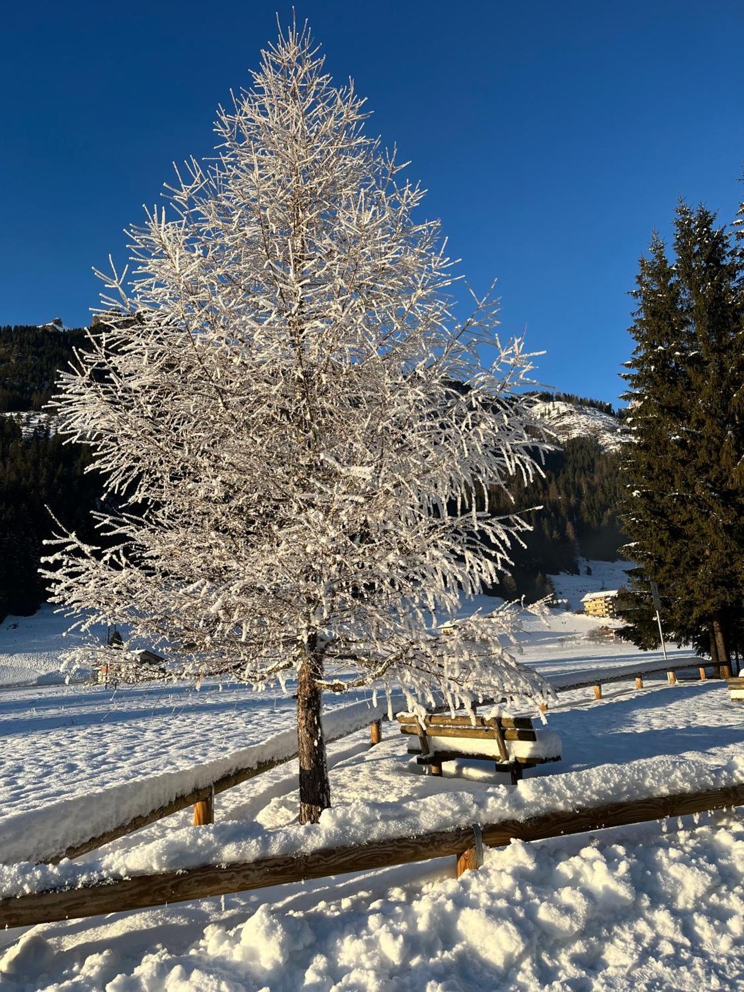 Apartamento Mes Lastei Campitello di Fassa Exterior foto