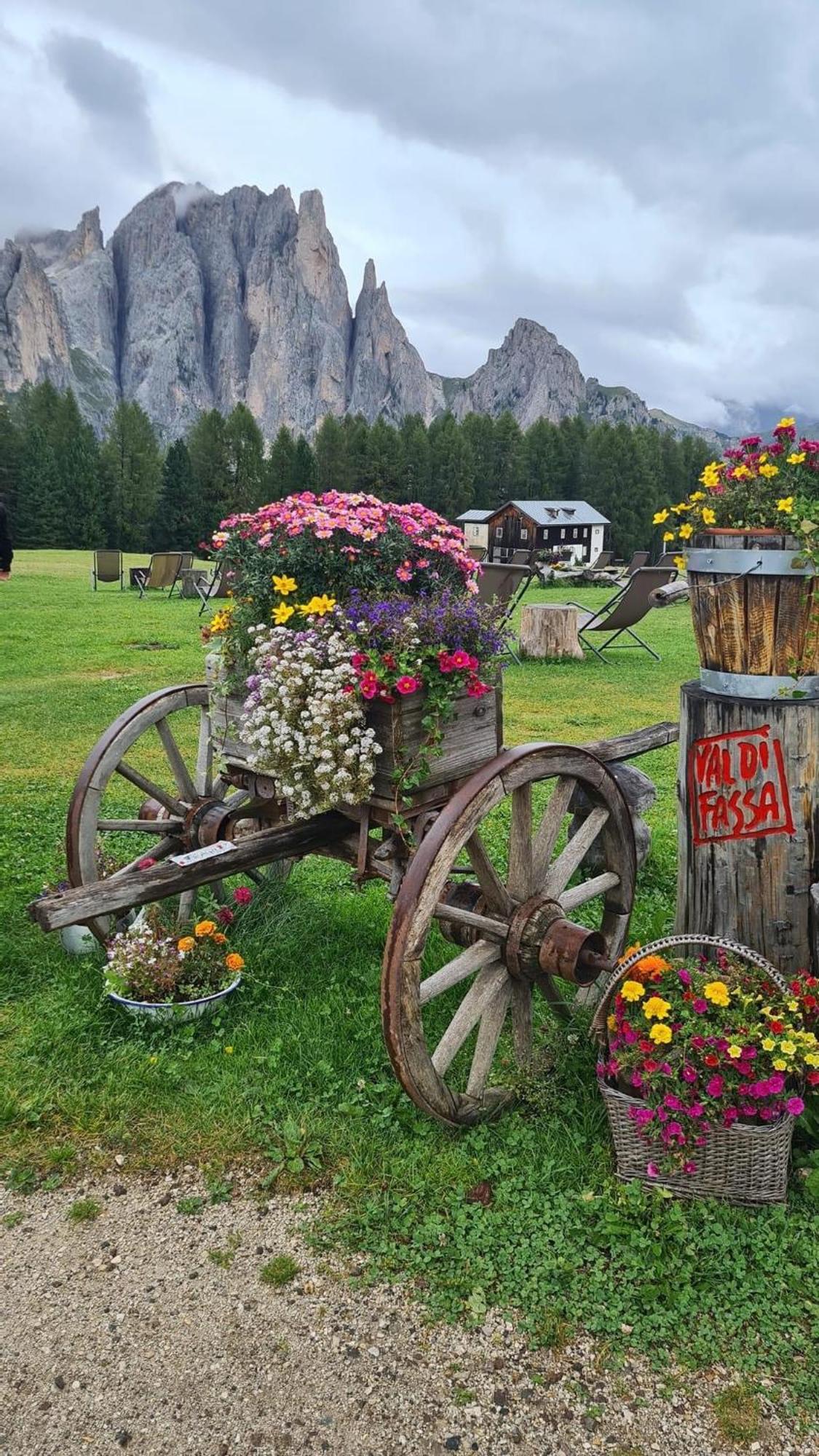 Apartamento Mes Lastei Campitello di Fassa Exterior foto